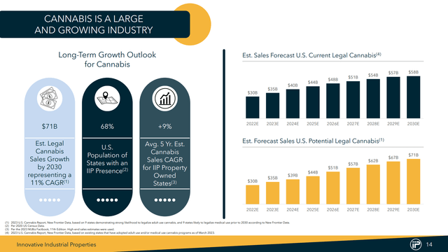 Cannabis Growth